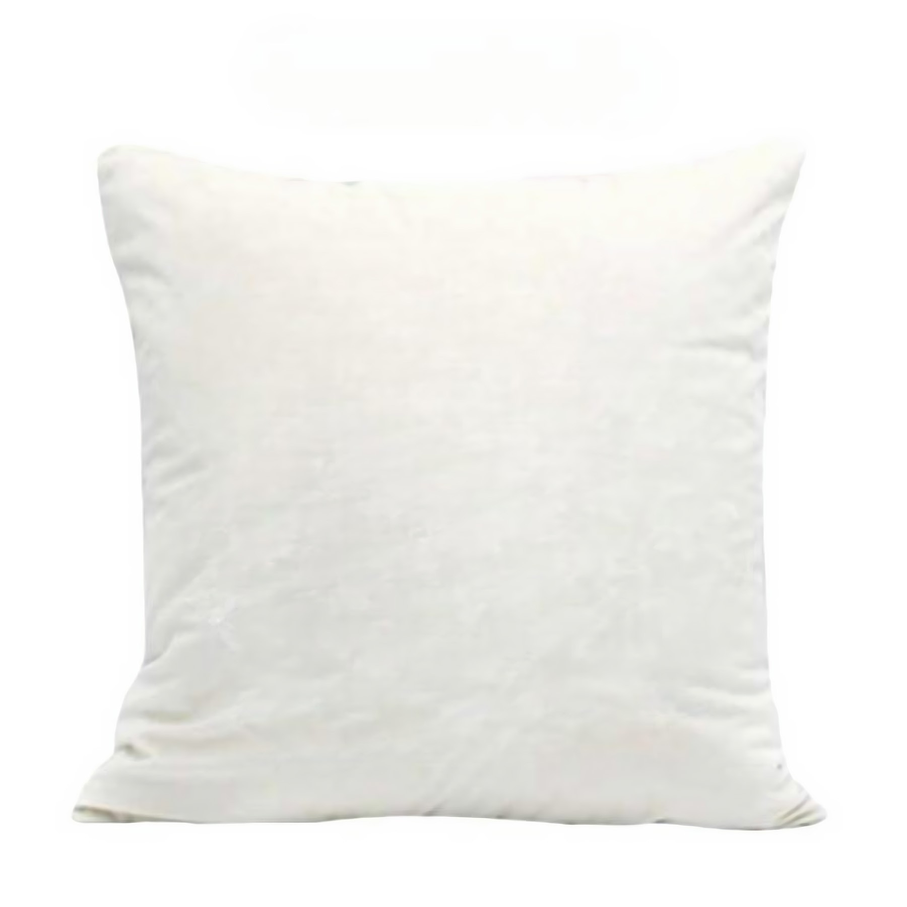 Throw Pillow 3