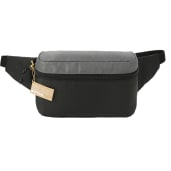 NBN Trailhead Recycled Fanny Pack 30