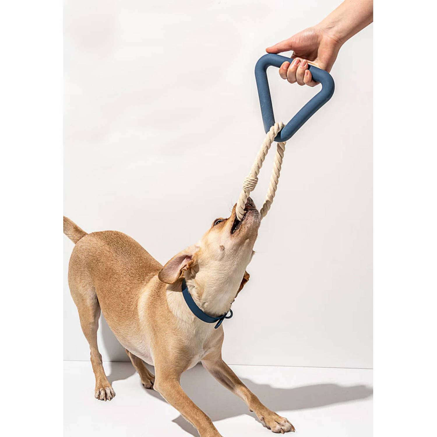 Custom Dog Rubber Triangle Tug Toy 4
