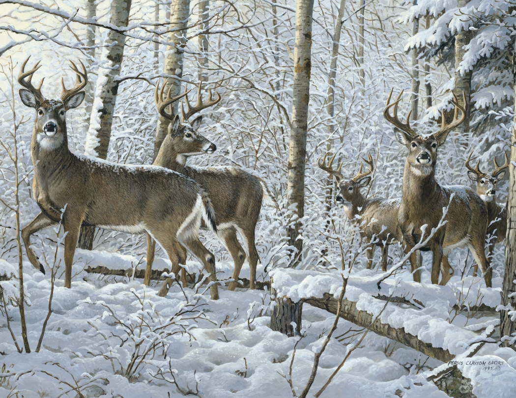 Triumph® Calendars Wildlife Art Calendar 32