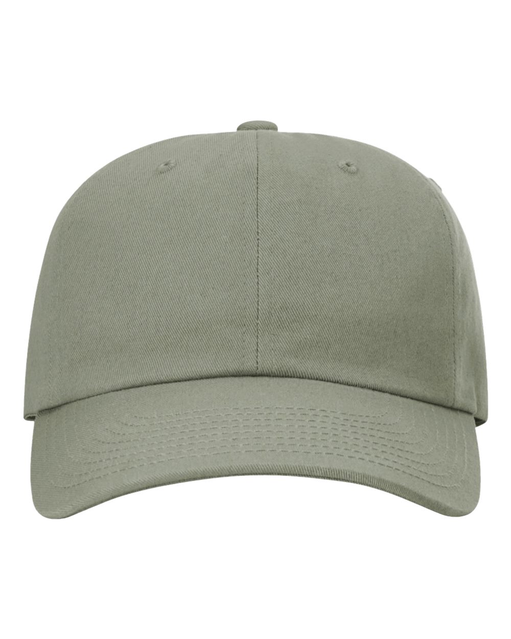 Sustainable Ashland Dad Hat - 254RE 10