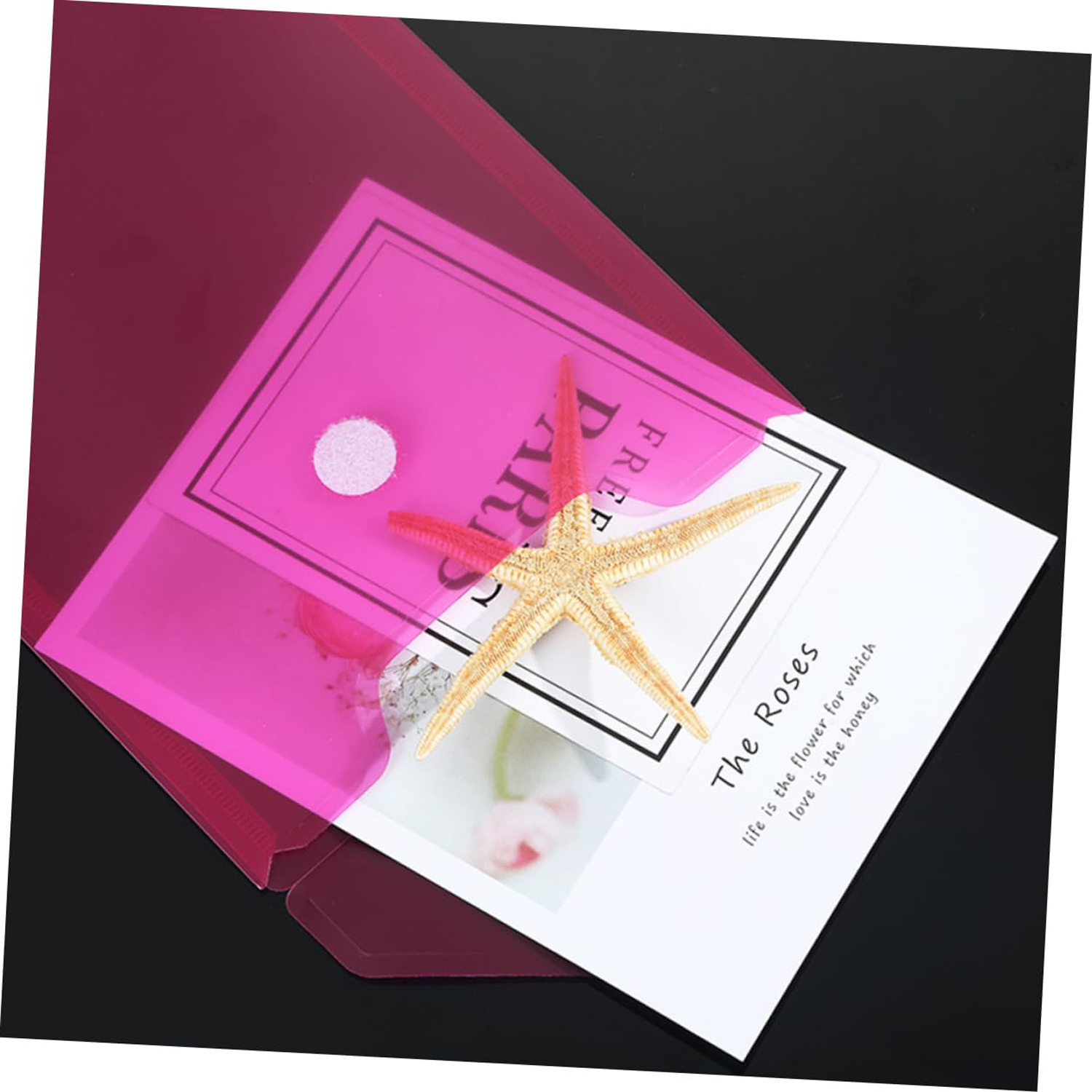Letter Size Lightweight Plastic File Folder 6