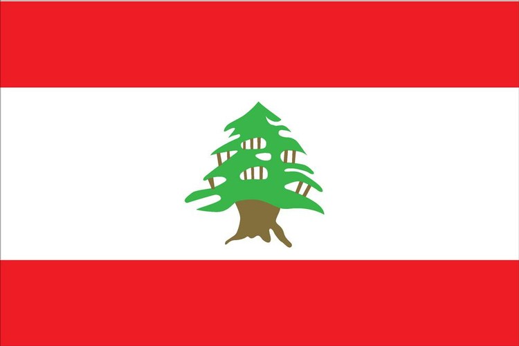 Lebanon Flag - 4' x 6' - Nylon 2