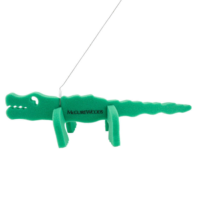 Alligator on a leash 9
