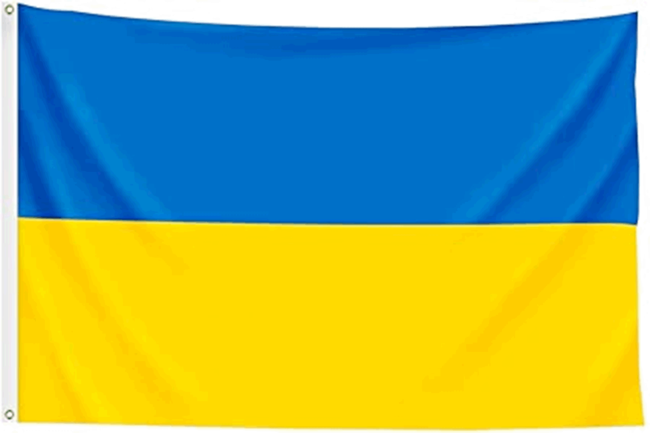 Ukraine Flag 2