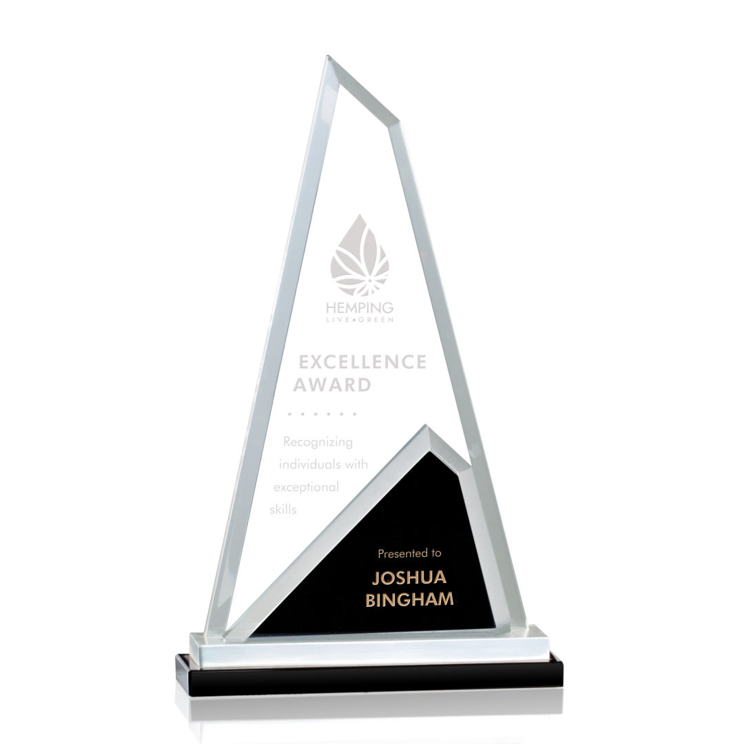 Shaftsbury Award 6