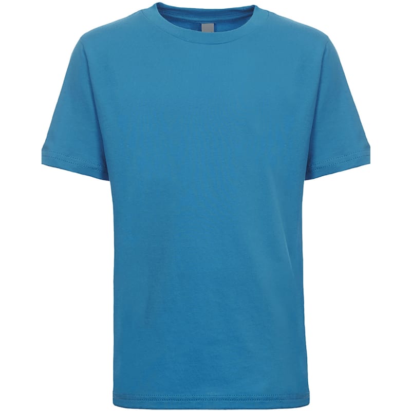 Next Level Youth Boys Cotton Crew 6