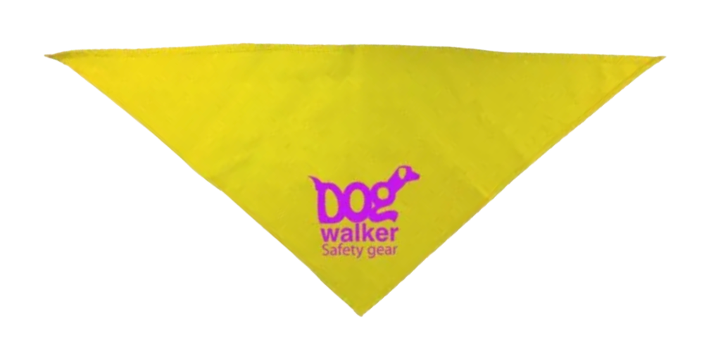 Bandanna Pet Triangle 5
