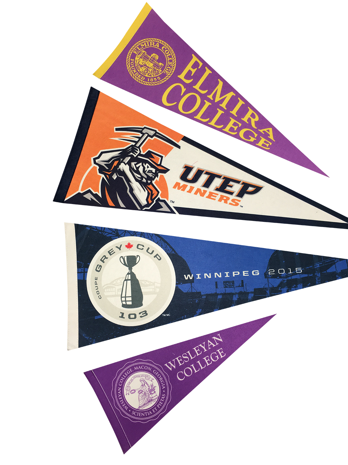 Felt Pennant 9" x 24" 2