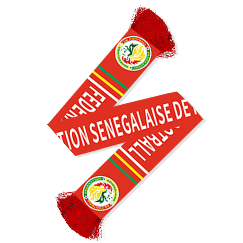 Qatar World Cup Customized Scarf 3