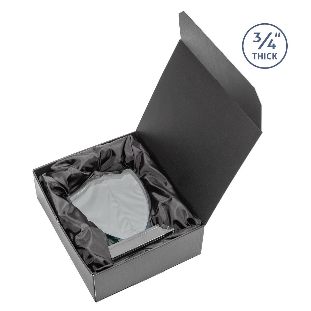Scudo Shield Award on Newhaven - White 5