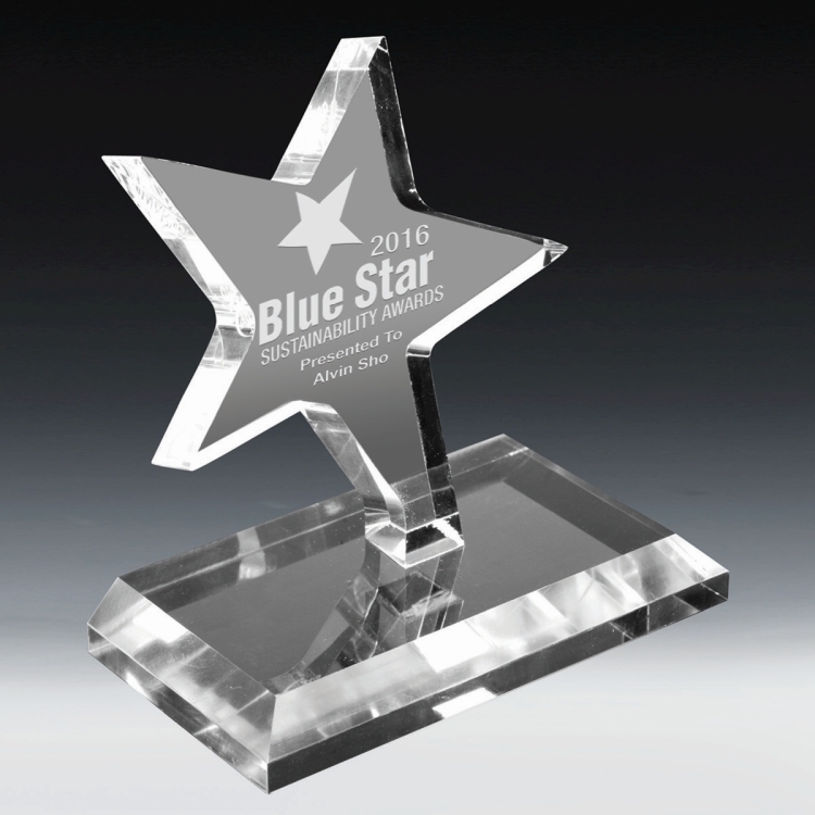 Dancing Star Award - 4 Color Process 3