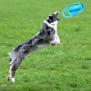 Rugby Ball Shape Dog Chewing Toys 5