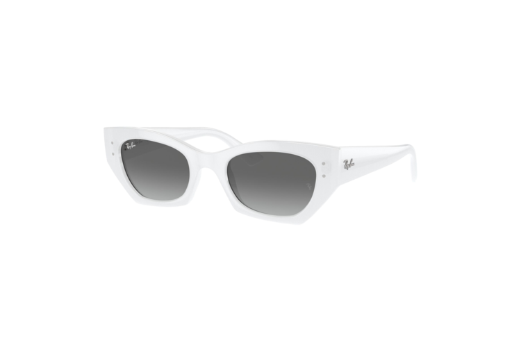 Ray-Ban Zena Bio-Based Sunglasses 1