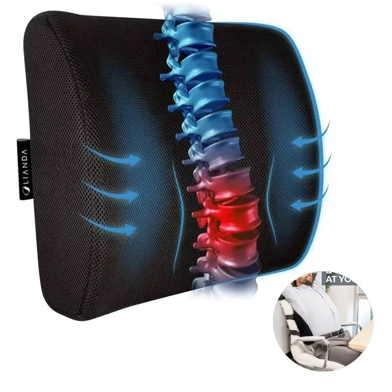 Lumbar Support Pillow 4