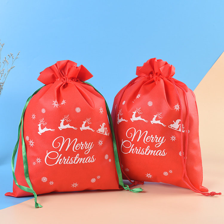 Draw Rope Bundle Christmas/Gift Bags 5
