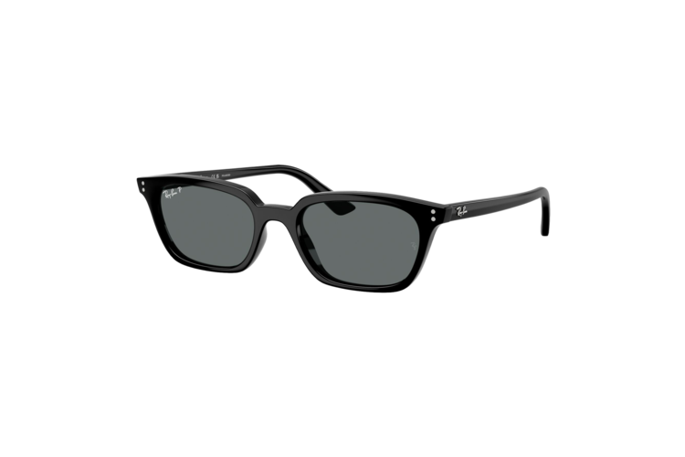 Ray-Ban Polarized Zaya Bio-Based Sunglasses 1