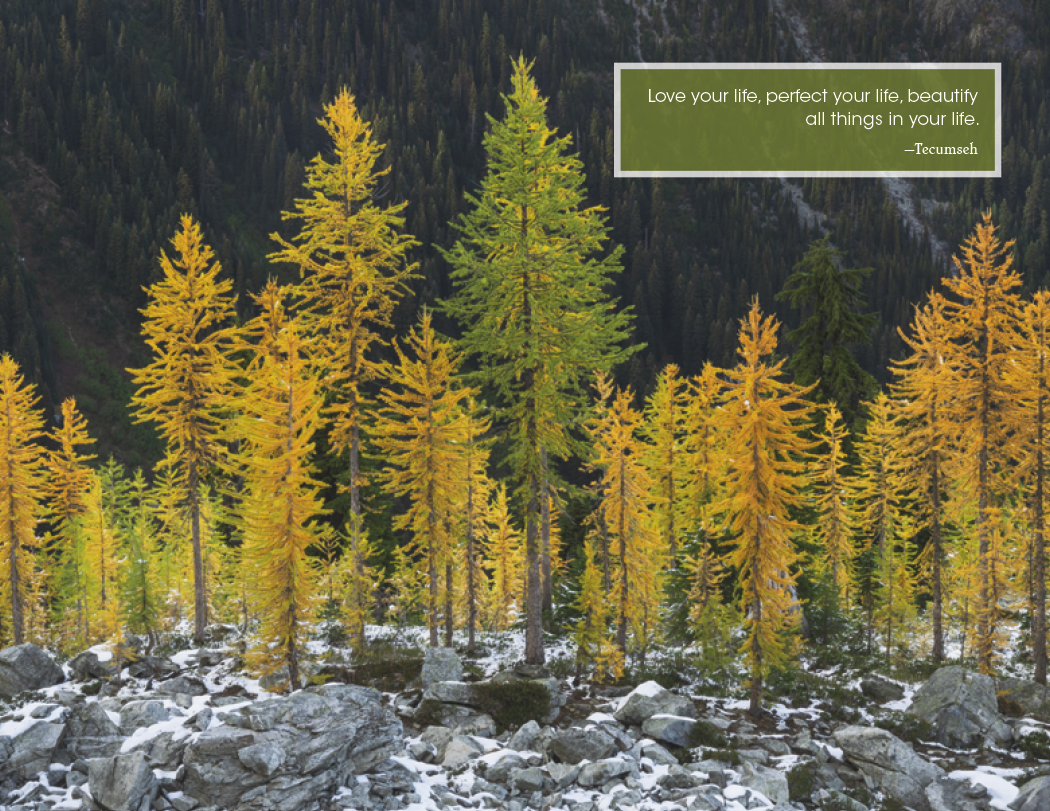 Good Value™ Inspirations for Life - Window Calendar 12