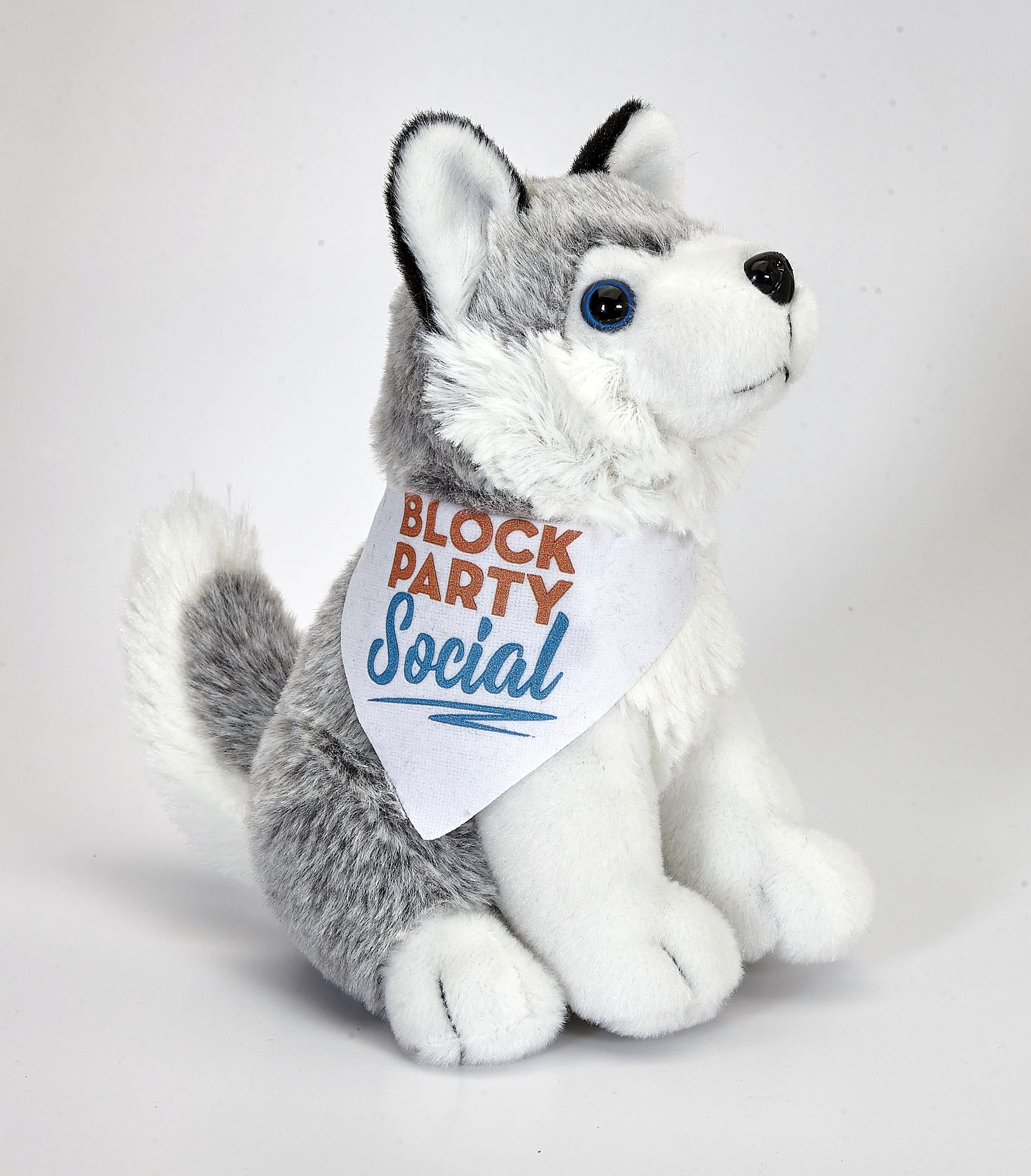 6" Husky 5