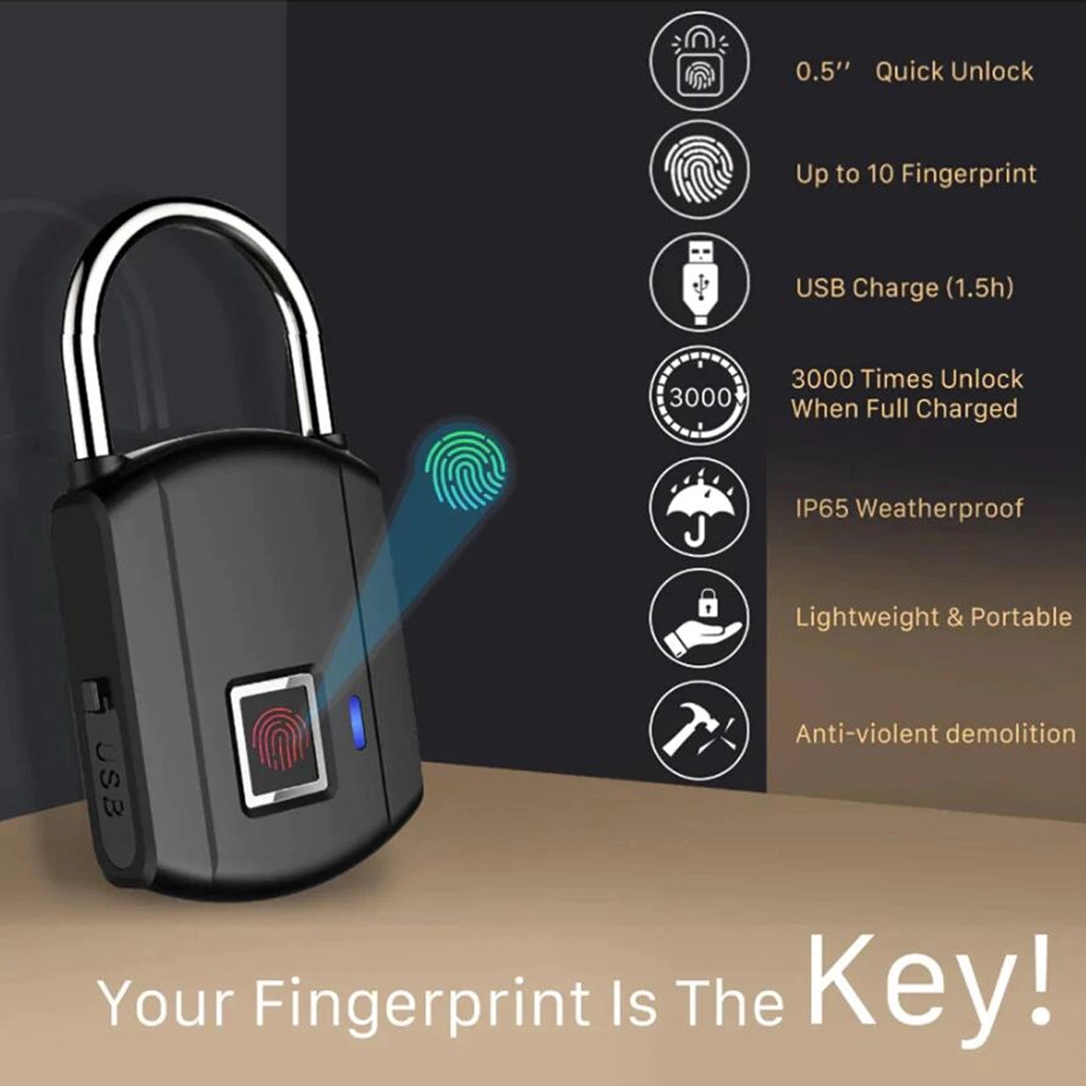 Smart Biometric Thumbprint Fingerprint Lock 2