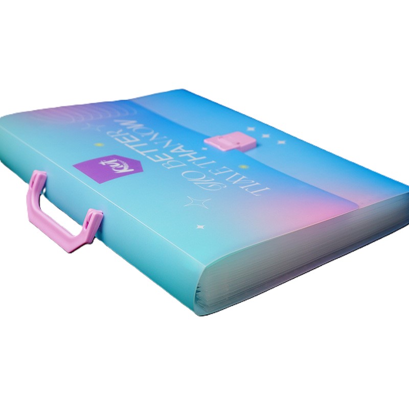 PP Plastic 6-Pocket A4 File Organizer With 2 Card Holder 3