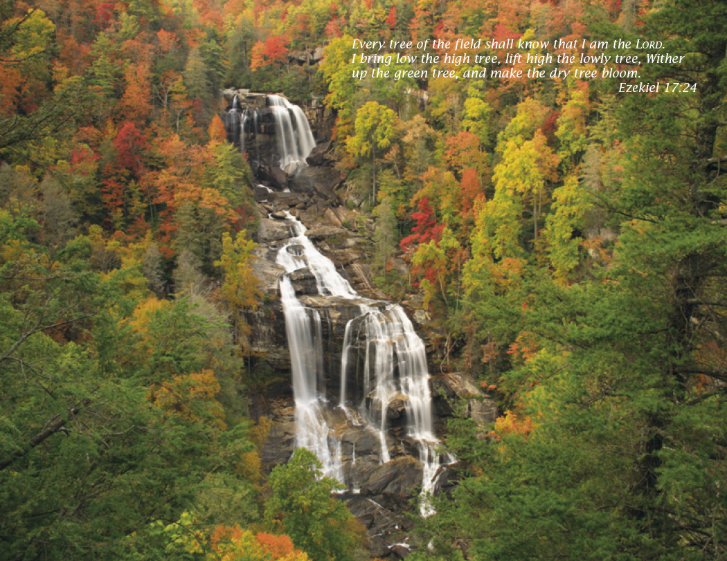 Triumph® Calendars Catholic Scenic Calendar 16