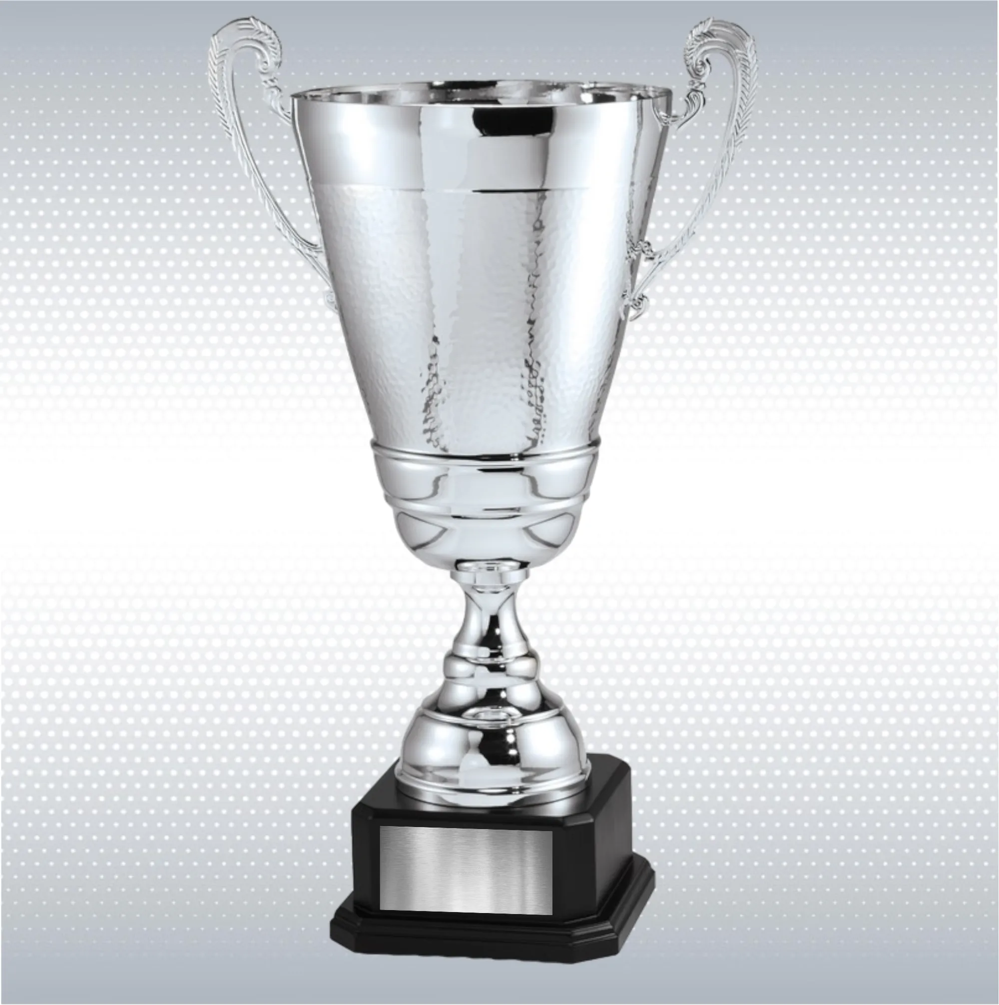 Gold or Silver Assembled Metal Cup Trophy On Wood Base 6