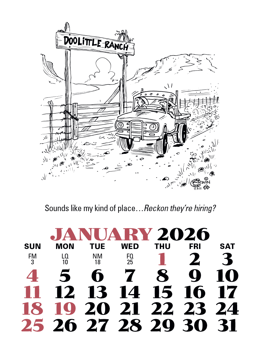Press-N-Stick Cowboy Calendar