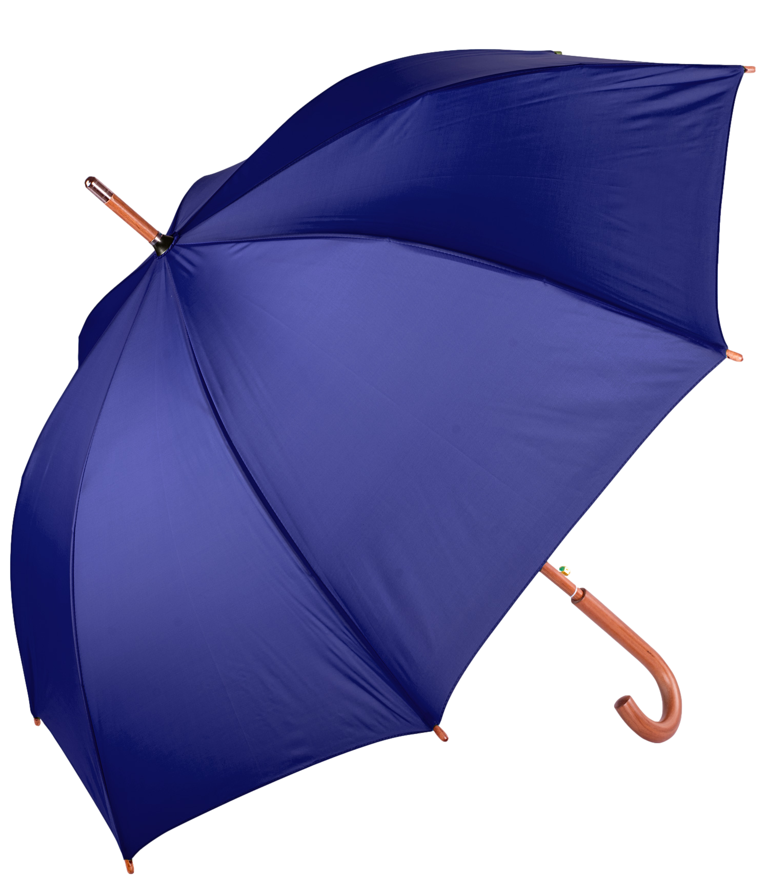 The Hotel Umbrella 1