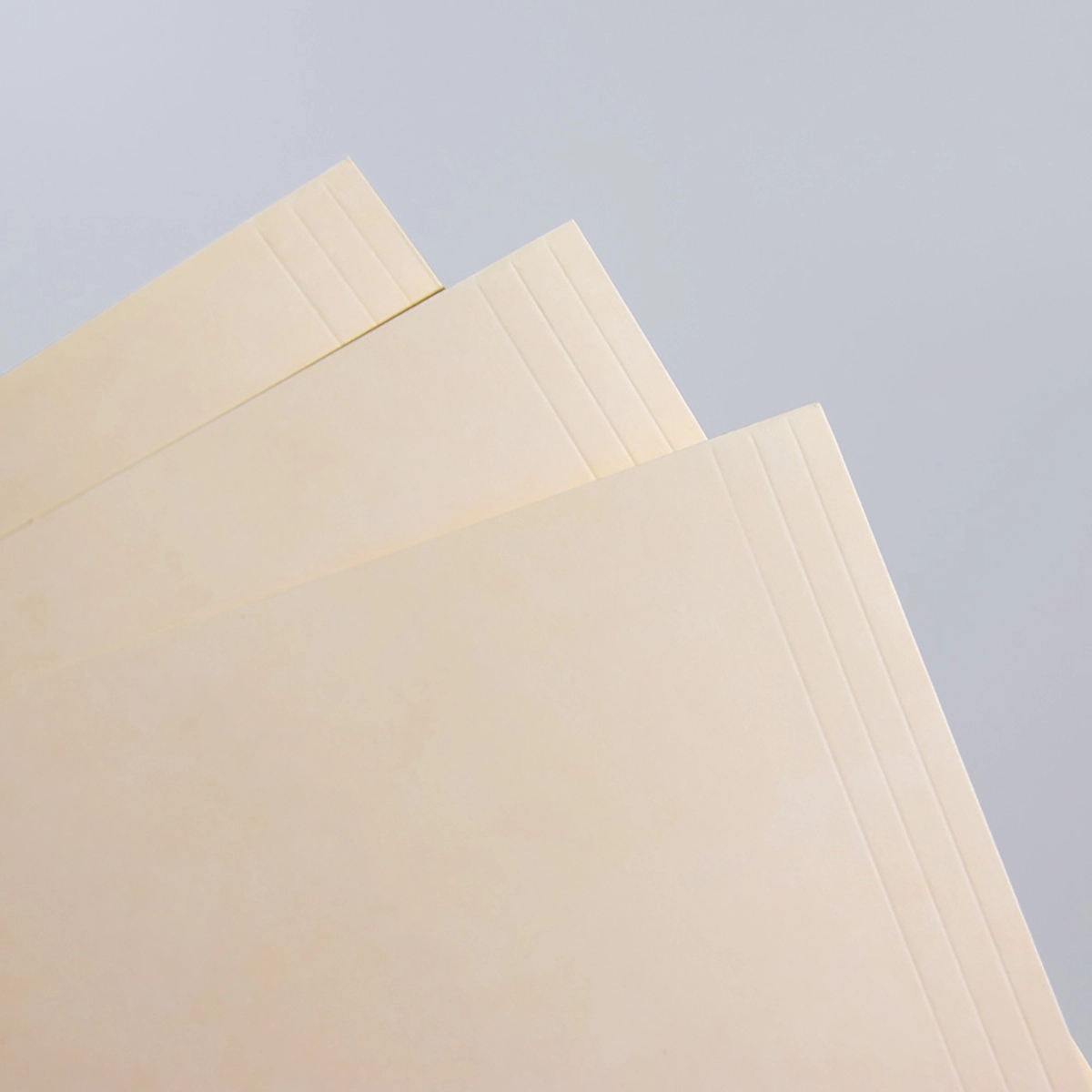 File Folders Letter Size Pack Of 100 5