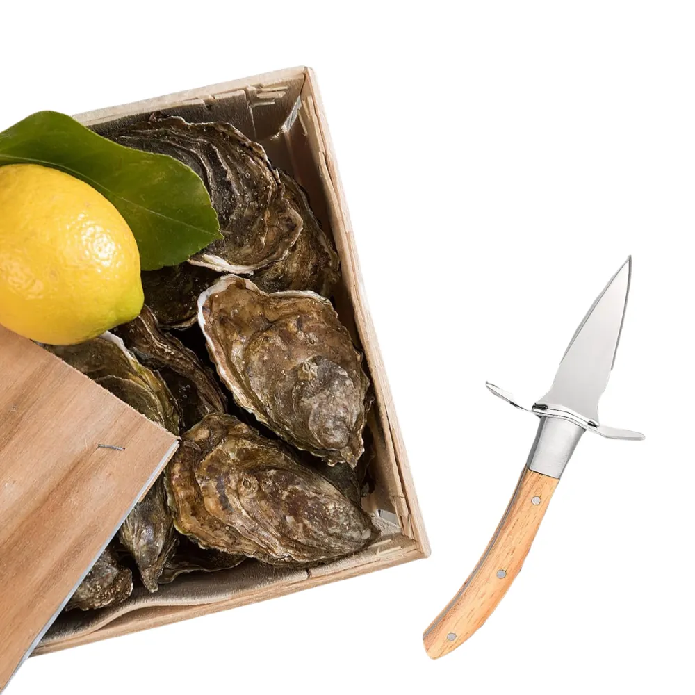 Oyster & Shellfish Shucking Knife #2 7
