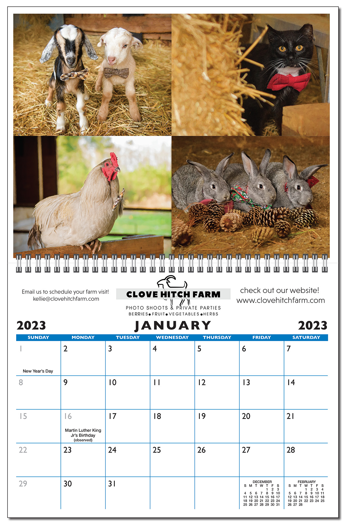 Deluxe 13 Picture Custom Wall Calendar 11
