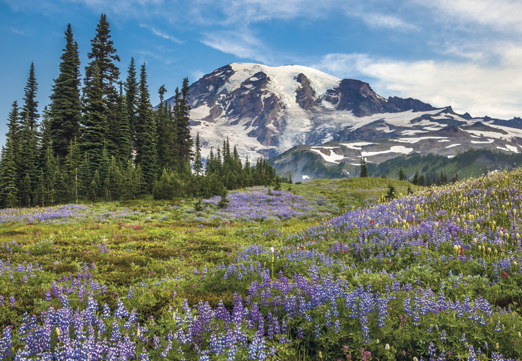 HotLine® Products Scenic America® Executive-White Ad Calendar 4