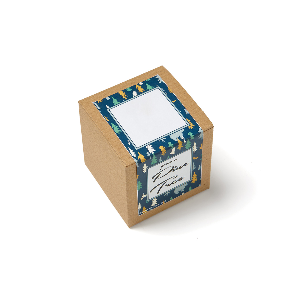 Pine Tree Growables Planter in Kraft Gift Box 3