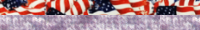 Americana Adult Pullover Hoodie 3