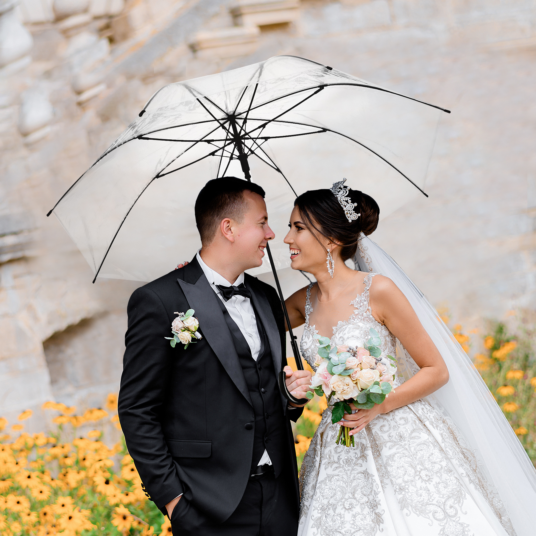 46" Arc Auto Open Clear Umbrella 3