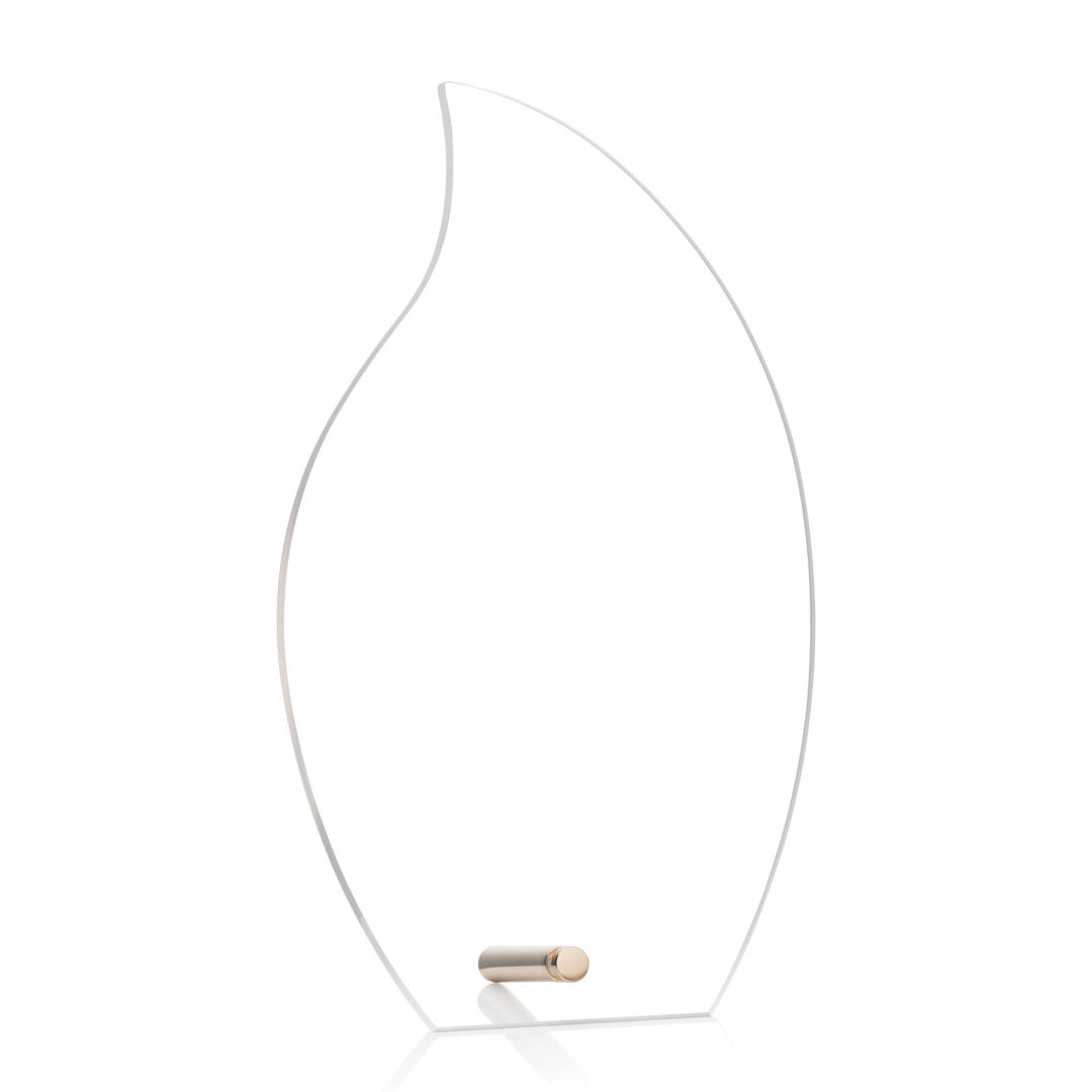 Polaris Flame Award - Gold 6