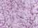 Women's Epic Sherpa Quarter-Zip Pullover - 8451 58