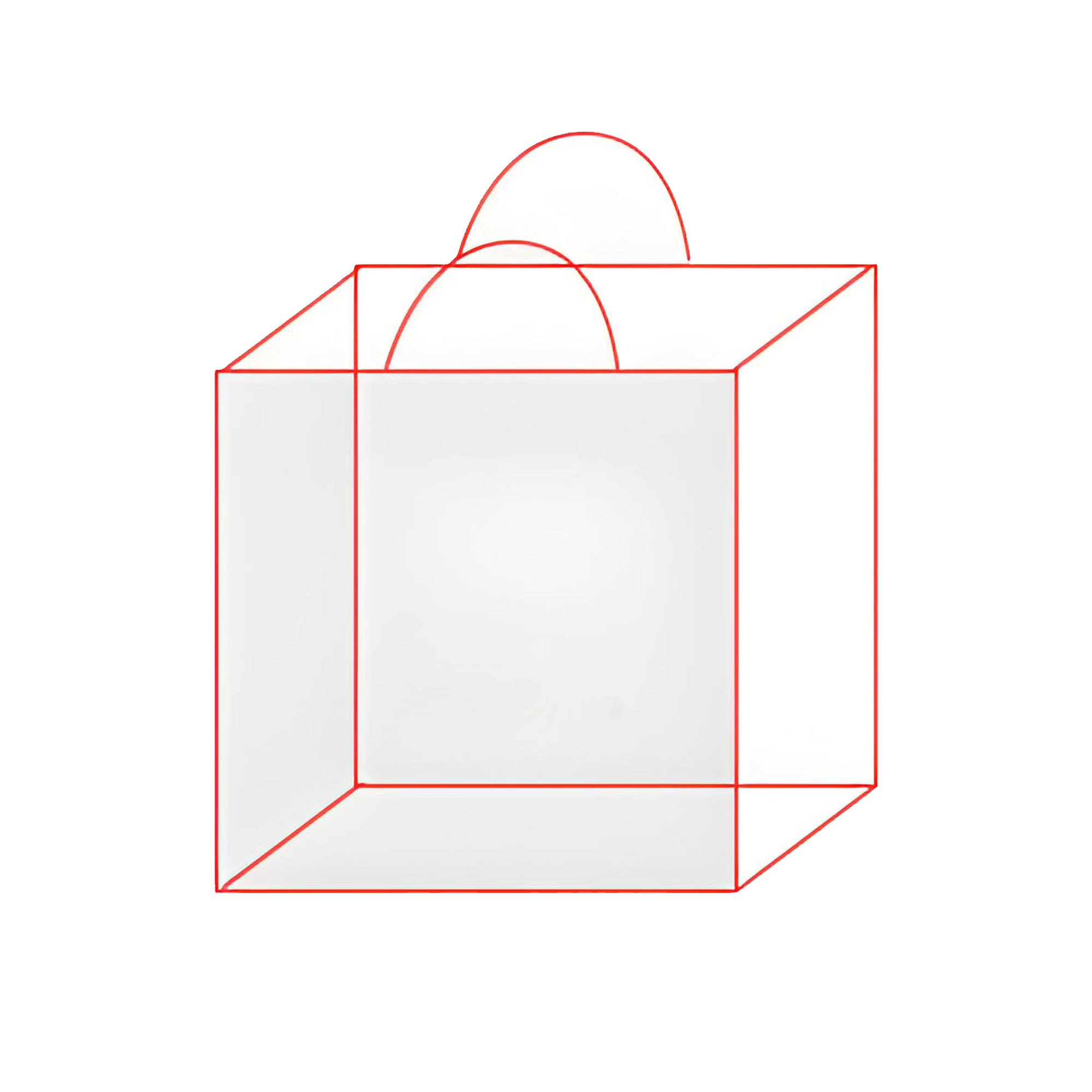 Square Gift Paper Bag 3