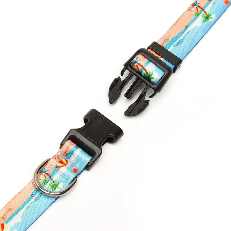 Full Color Pet Collar 4