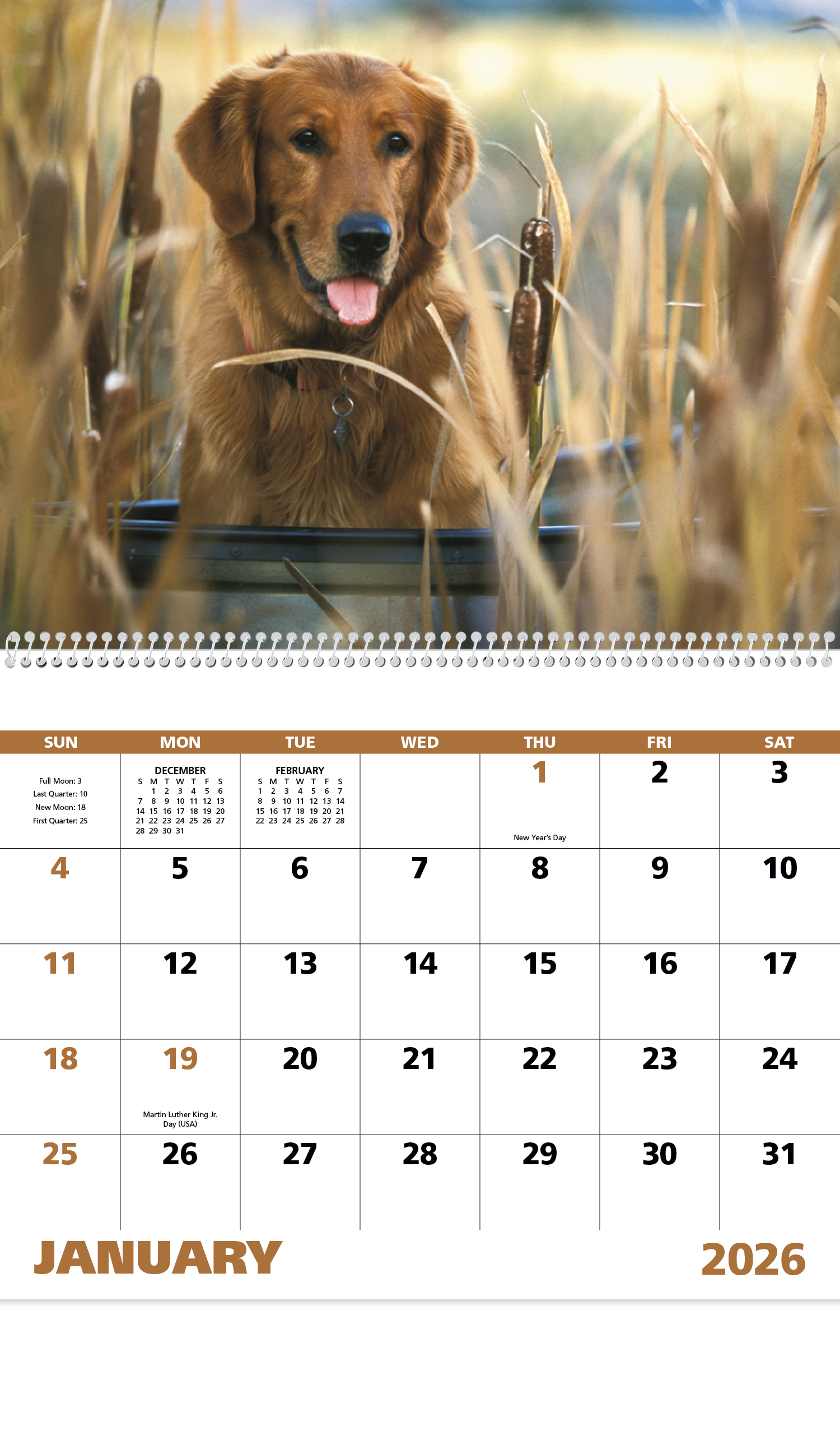 Good Value™ Sporting Dogs - Spiral Calendar 41