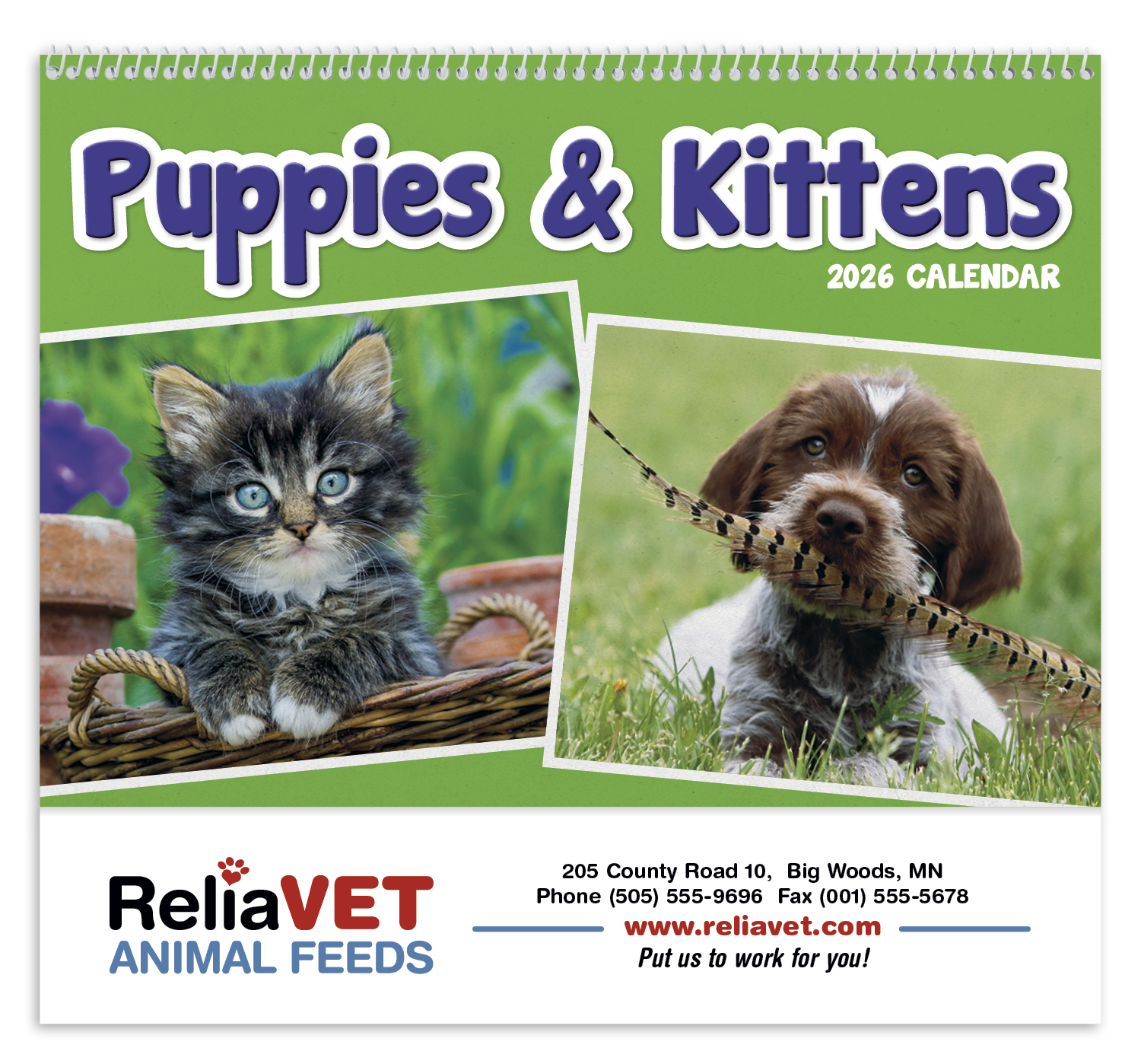 Triumph® Calendars Puppies & Kittens Pocket Calendar 63
