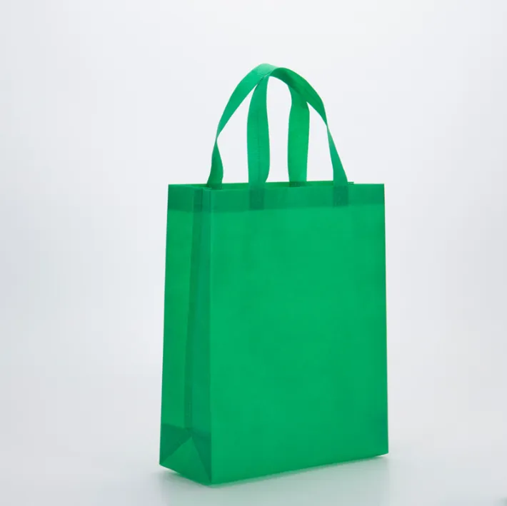80 gsm Non-Woven Bag/Shopping Bag 3