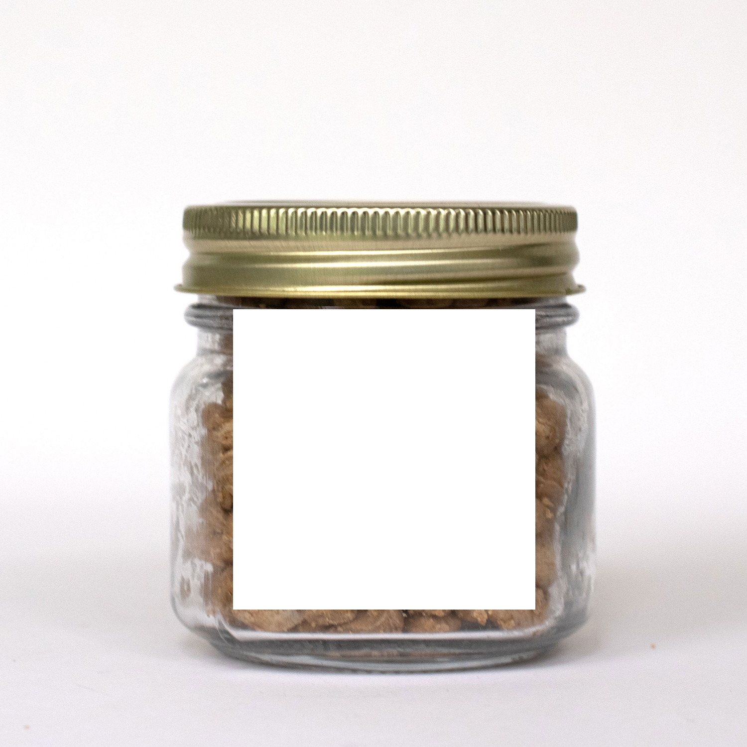 Pint Jar w/ Square Magnet Pet Fill 5