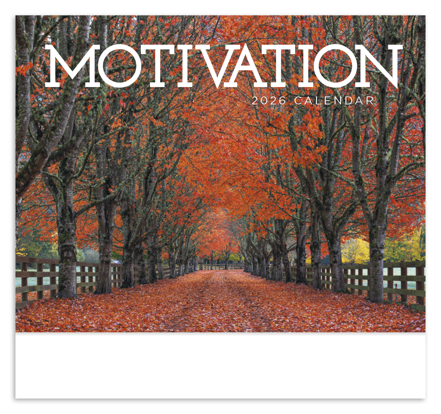 HotLine® Products Motivation Appointment Calendar (Motivational Quotes) - Stapled