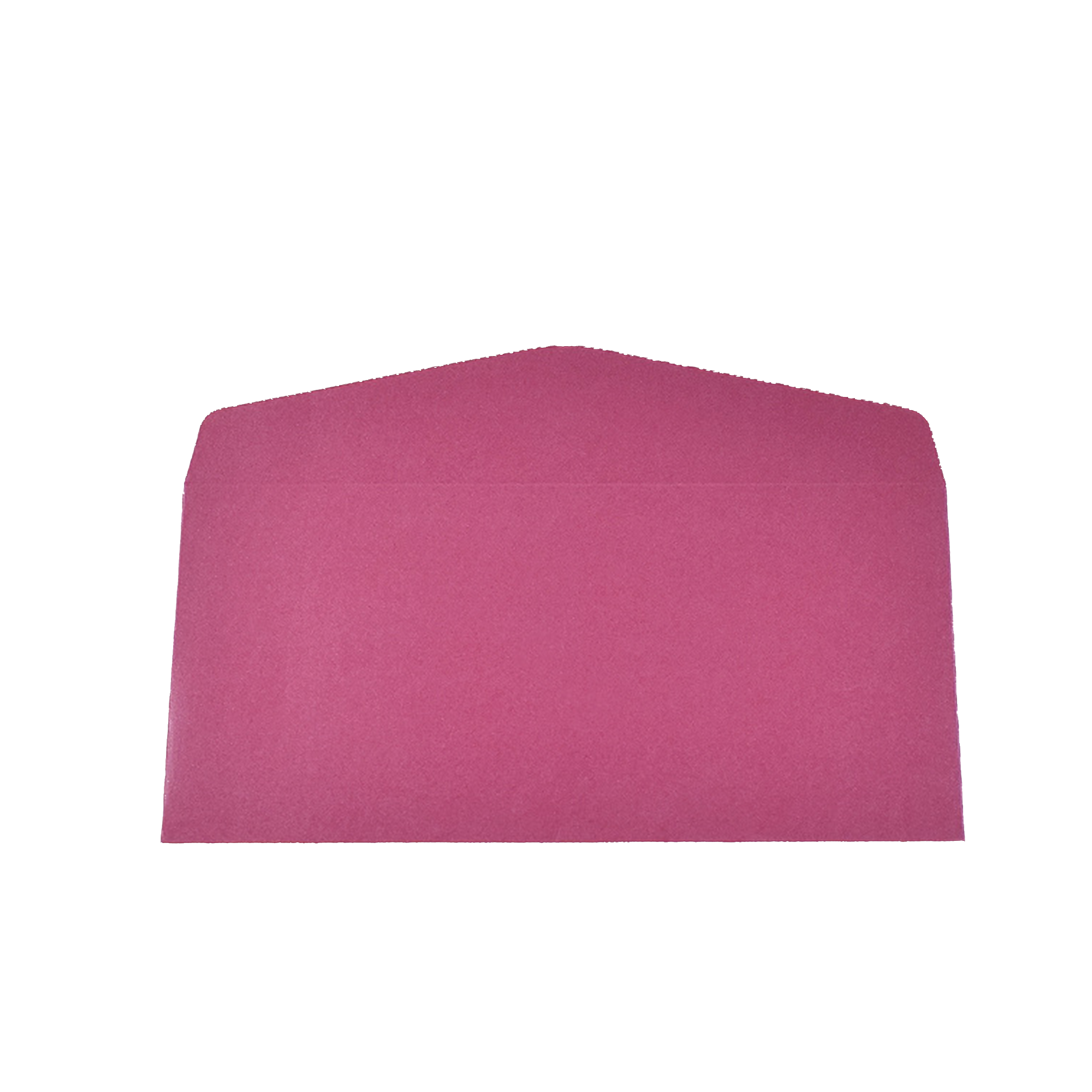 Premium Business Gold-Stamped Envelope 8