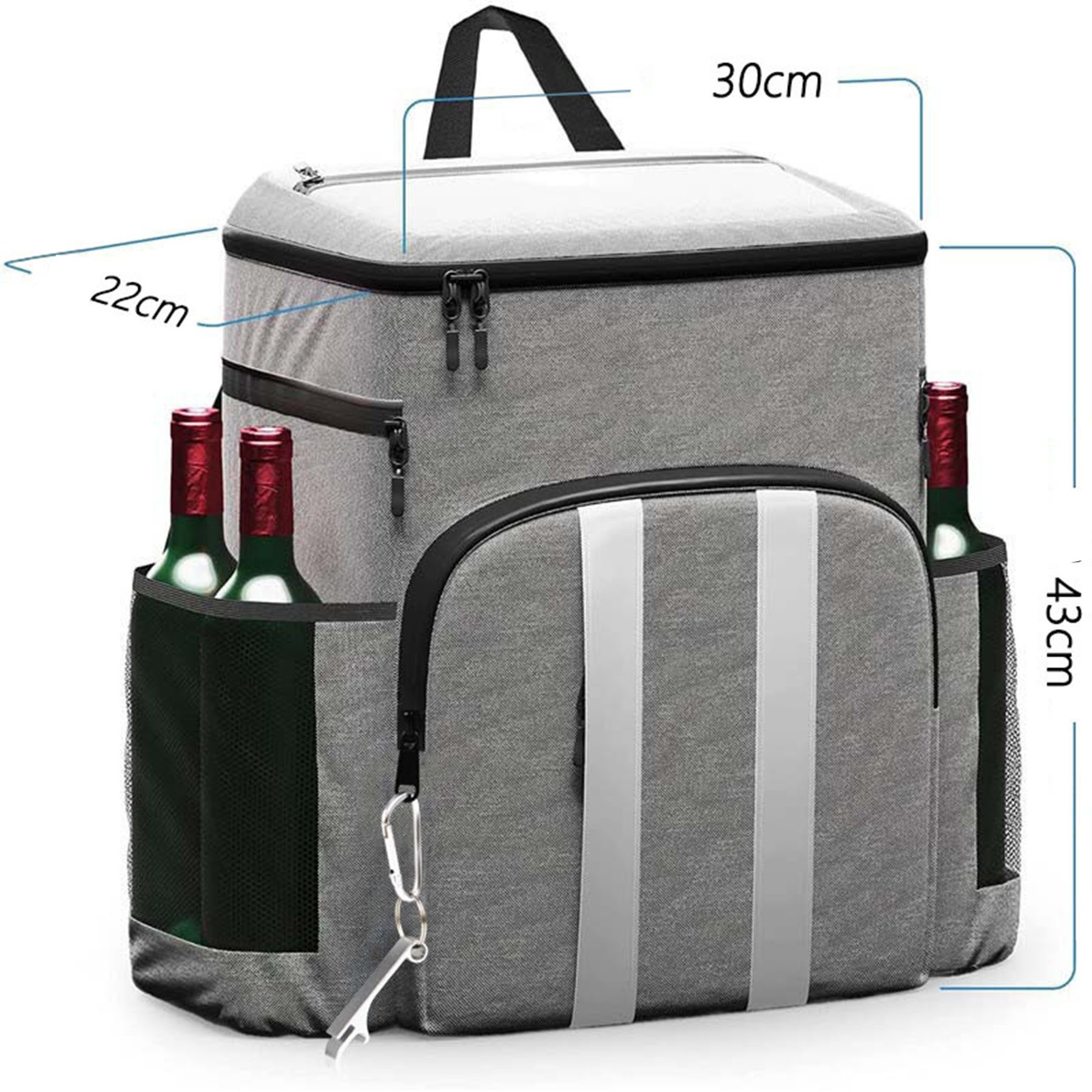 Insulated Cooler Backpack 2