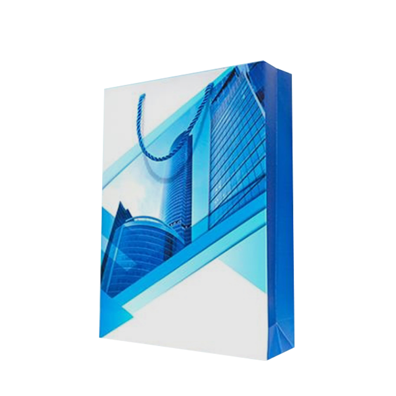 12 " Vertical Matte Laminated Euro Tote Bag 5