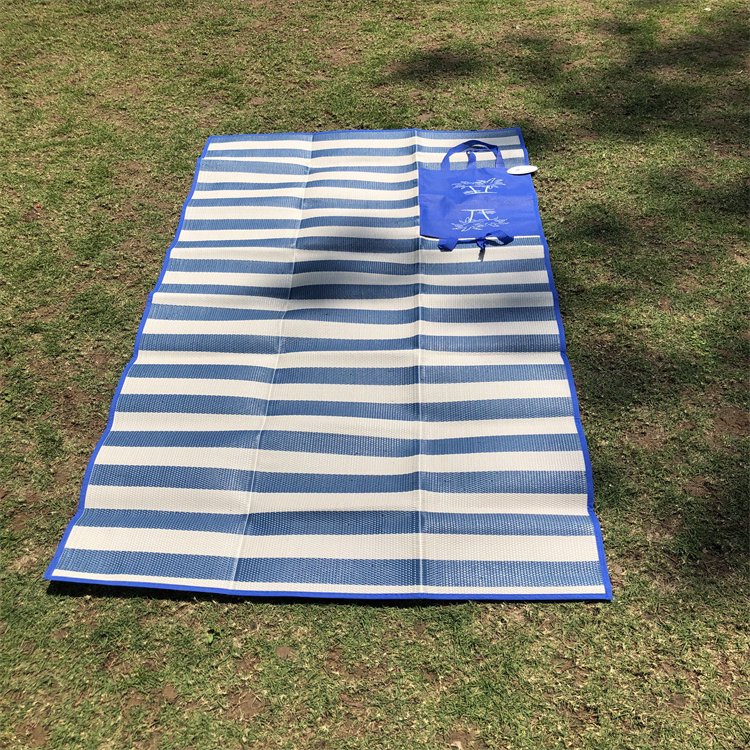 Beach Mat 1