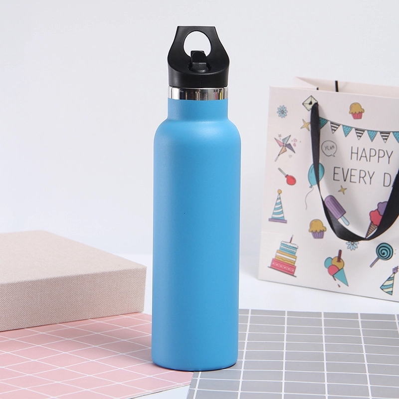 20 oz Stainless Steel Water Bottle w/Straw Lid 12